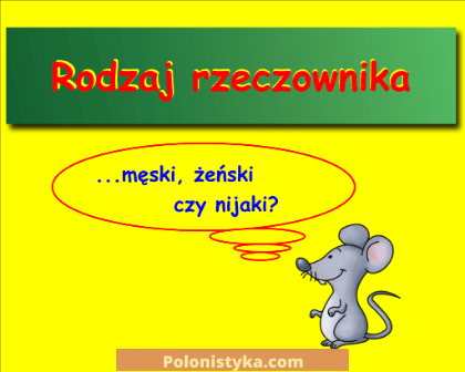 Как определить род существительного в польском языке
