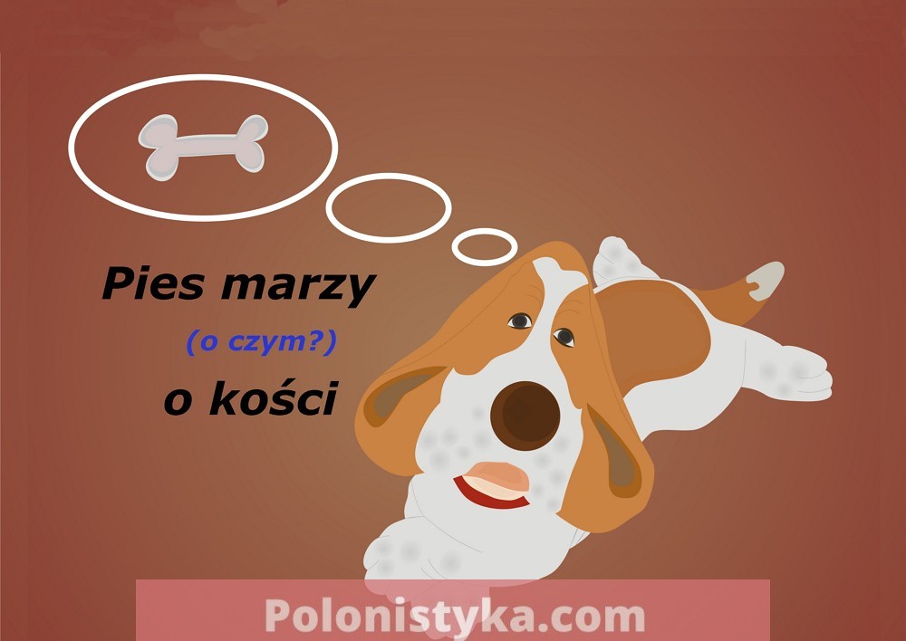 Падежи существительных в польском языке