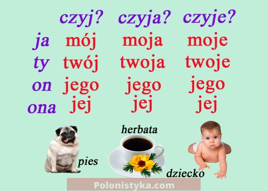Склонение местоимений в польском языке